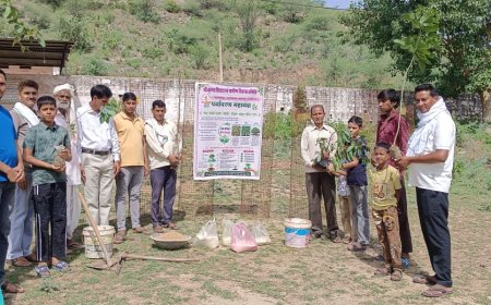 *एक परिवार–तीन देव वृक्ष का संकल्प, पक्षी, चींटी नगरा भंडारा आयोजित