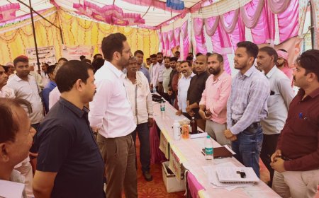 जिला कलक्टर ने पथैना में ग्रामीण सेवा शिविर व भुसावर के शहरी शिविर का किया निरीक्षण; पात्रजनों को पट्टे वितरित कर किया पौधारोपण