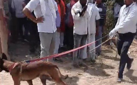 प्रेम प्रसंग में तिहरे हत्याकांड से दहला प्रयागराज, शादी का विरोध करने पर ताऊ और दो चाचियों की निर्मम हत्या; 9 घंटे के भीतर मुख्य आरोपी समेत दो गिरफ्तार,