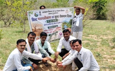 मरुस्थलीकरण व सूखा रोकथाम दिवस पर नारायणपुर में पौधारोपण, देवती में एनिकट का लोकार्पण