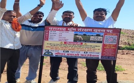गौचर बचाओ फाउंडेशन द्वारा चरागाह भूमि संरक्षण हेतु सूचना बोर्ड स्थापित