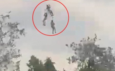 पिछोला झील के ऊपर थमी सांसें: तेज हवा से जिप लाइन के बीच फंसे गुजरात के पर्यटक, ढाई मिनट में सुरक्षित रेस्क्यू
