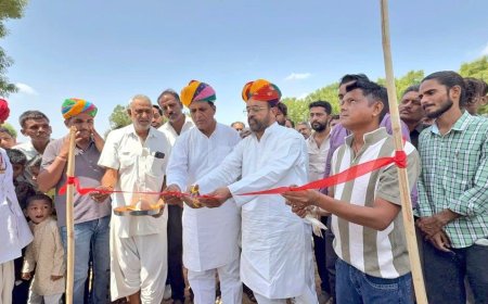 रोवाड़ा में ध्वलेश्वर महादेव प्रांगण में पक्षी आवास का लोकार्पण, समाज सेवा में आगे आने का किया आह्वान