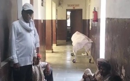 पेड़ पर चारा काटते समय 11 KV हाईटेंशन लाइन की चपेट में आया अधेड़, करंट लगने से मौके पर ही दर्दनाक मौत