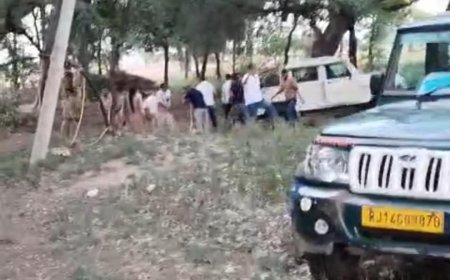 खेत पर फसल देखने गए तीन किसानों पर पैंथर का हमला, साढ़े 10 घंटे के कड़े रेस्क्यू के बाद किया ट्रैंकुलाइज