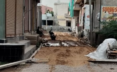 वसुंधरा ग्राउंड लक्ष्मणगढ़ में बन रही सीसी रोड में अनियमितताओं की जांच करवाए जाने की मांग