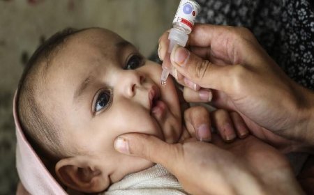 अलवर में राष्ट्रीय पल्स पोलियो अभियान 28 जून से; 2.75 लाख से अधिक नौनिहालों को पिलाई जाएगी दवा