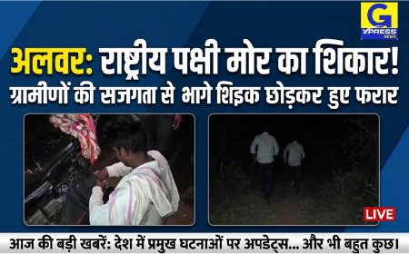 रैणी में राष्ट्रीय पक्षी मोर का शिकार; ग्रामीणों को देखकर बाइक छोड़ जंगल के रास्ते भागे शिकारी