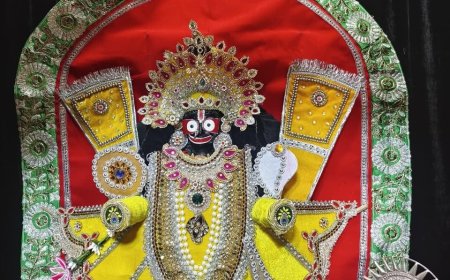 नौगांवा में जगन्नाथ रूप में विराजे सांवरिया सेठ, दर्शन को उमड़े श्रद्धालु
