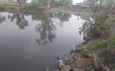कनवाडा जोहड में पानी की कमी से मछलियों की हो रही है मौत, अन्य जल जीवो को भी हो रही परेशानी