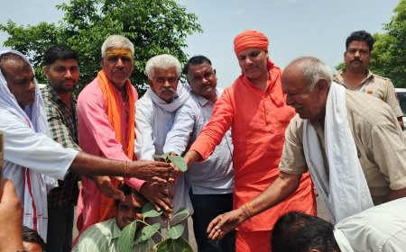 टहला में पेड़ लगाकर मनाया केंद्रीय मंत्री भूपेंद्र यादव का जन्मदिन, बांटी मिठाई