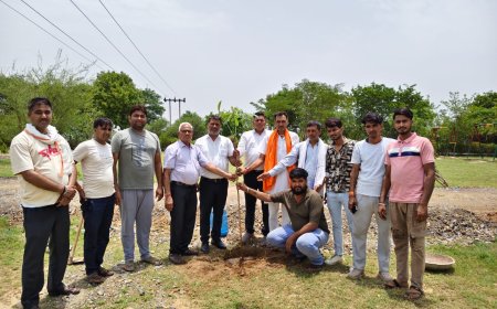 केंद्रीय मंत्री भूपेंद्र यादव के जन्मदिन पर भाजपा युवा मोर्चा ने चलाया वृक्षारोपण एवं सफाई अभियान