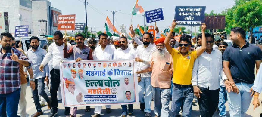 महंगाई से आमजन बेहाल, बिजली-पानी की समस्याओं पर सरकार मौन : मेवाड़ा