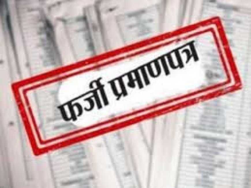 फर्जी दिव्यांग प्रमाण पत्र के आधार पर सरकारी नौकरी पाने वाले शिक्षक को पुलिस ने किया गिरफ्तार; न्यायालय ने 3 दिन की पुलिस रिमांड पर भेजा