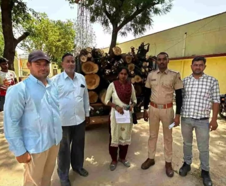 वन विभाग की बड़ी कार्रवाई: अवैध रूप से हरी लकड़ी का परिवहन करते हुए 'किसान बुग्गा' जब्त, तस्करों में हड़कंप