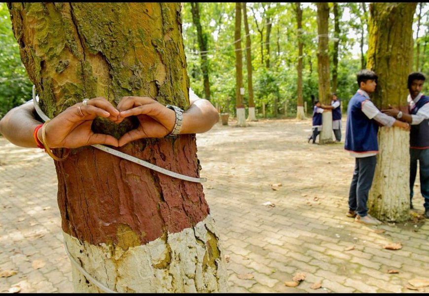 'विश्व पर्यावरण दिवस' केवल कागजी खानापूर्ति या संरक्षण का सच्चा संकल्प? भीलवाड़ा में उठे गंभीर सवाल