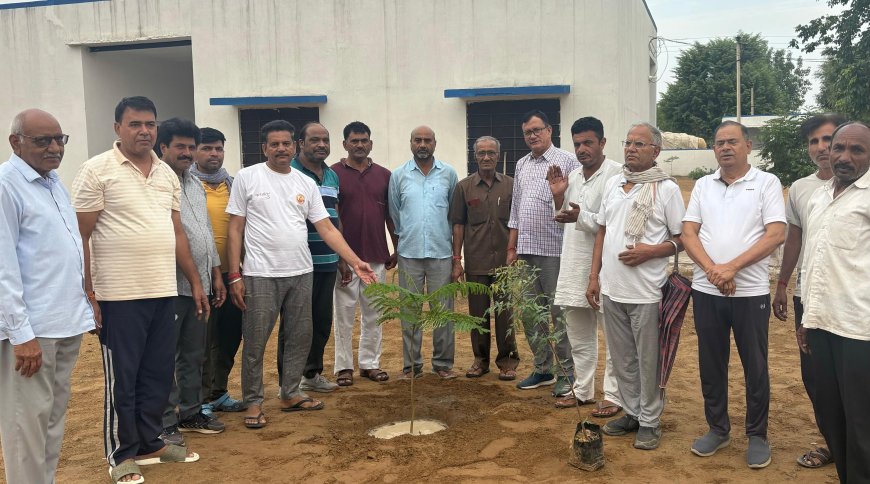 बड़ागांव में विश्व पर्यावरण दिवस पर वृक्षारोपण: विशेष अवसरों पर पौधे लगाकर करें उनकी परवरिश – मंगलचंद सैनी