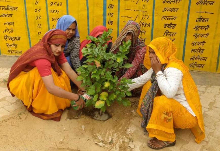 बेरका ग्राम पंचायत में साथीन रुचि रानी ने लगाया छायादार पौधा, ग्रामीणों को पर्यावरण संरक्षण का दिया संदेश