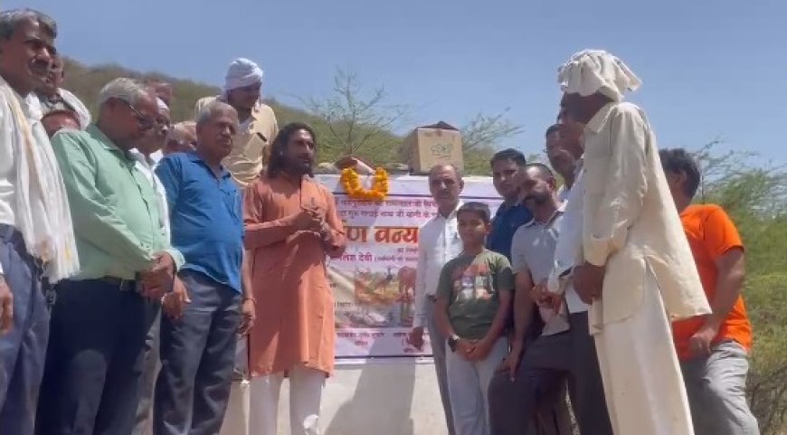 पर्यावरण दिवस पर अर्पण सेवा फाउंडेशन की अनूठी पहल; वन्यजीवों के लिए जंगल में बनाया अर्पण वन्य जीव कुंड  और प्याऊ