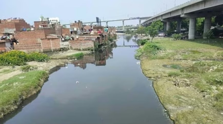 सड़क या श्मशान जैसी सार्वजनिक ज़रूरतों के लिए प्राकृतिक जल मार्गों को नष्ट नहीं किया जा सकता : राजस्थान हाईकोर्ट