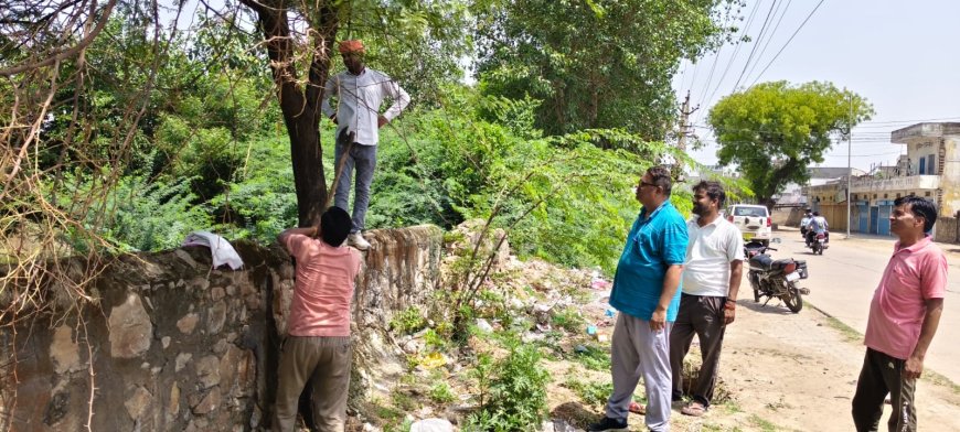 विद्युत वितरण निगम की बड़ी कार्रवाई: राजगढ़ में निर्बाध बिजली आपूर्ति के लिए विद्युत लाइनों के पास आए पेड़ों की डालियों की छंटाई की