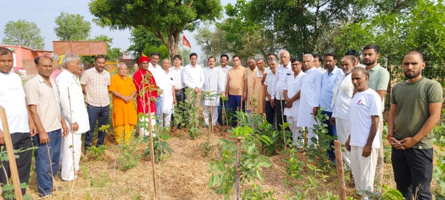 पर्यावरण संरक्षण के लिए महाअभियान का शंखनाद: भारत विकास परिषद और गायत्री परिवार लगाएंगे 11 हजार पौधे; हस्ताक्षर अभियान का भी हुआ शुभारंभ