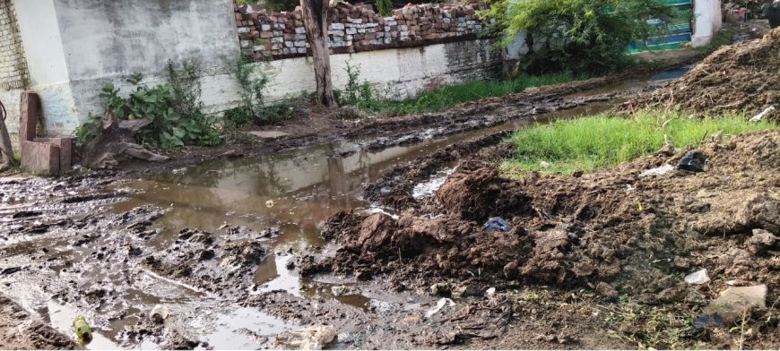 सुनकई में गंदगी और जलभराव से बढ़ा बीमारी का खतरा, शिकायतों के बावजूद प्रशासन बेखबर; नालियां अवरुद्ध होने से सड़कों पर भरा गंदा पानी, डेंगू-मलेरिया फैलने की आशंका