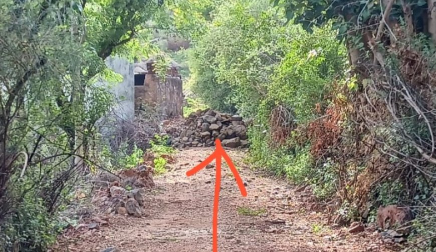 दबंगों ने पत्थर डालकर रोका वन भूमि का आम रास्ता, ग्रामीणों ने कलेक्टर से की शिकायत