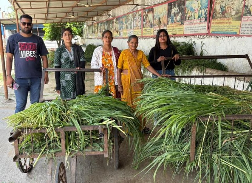 सोमवती अमावस्या पर पूर्वांचल जन चेतना समिति ने की गौ-सेवा और अन्नदान