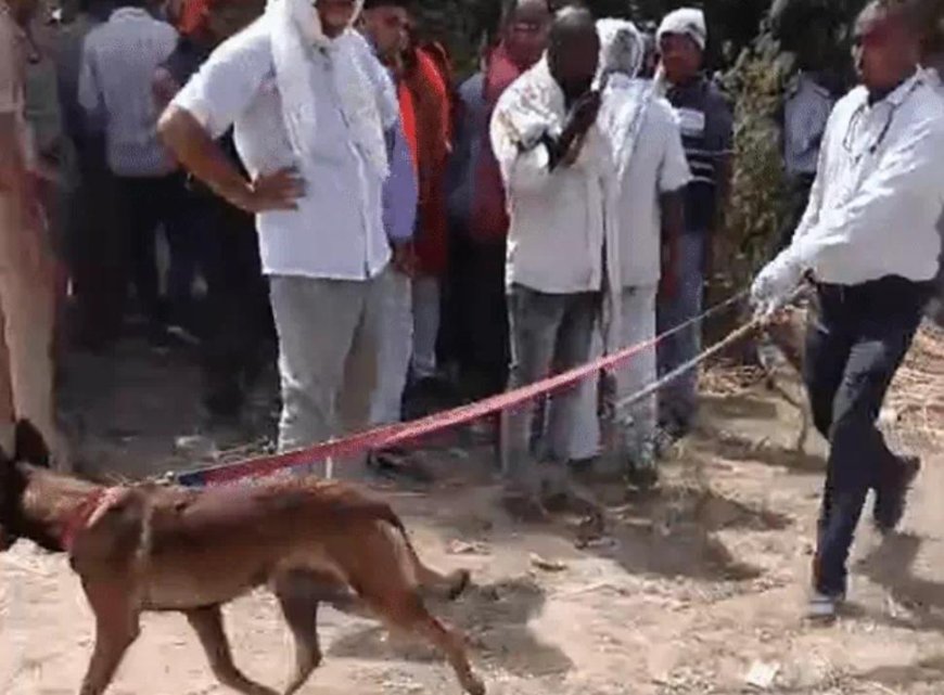 प्रेम प्रसंग में तिहरे हत्याकांड से दहला प्रयागराज, शादी का विरोध करने पर ताऊ और दो चाचियों की निर्मम हत्या; 9 घंटे के भीतर मुख्य आरोपी समेत दो गिरफ्तार,