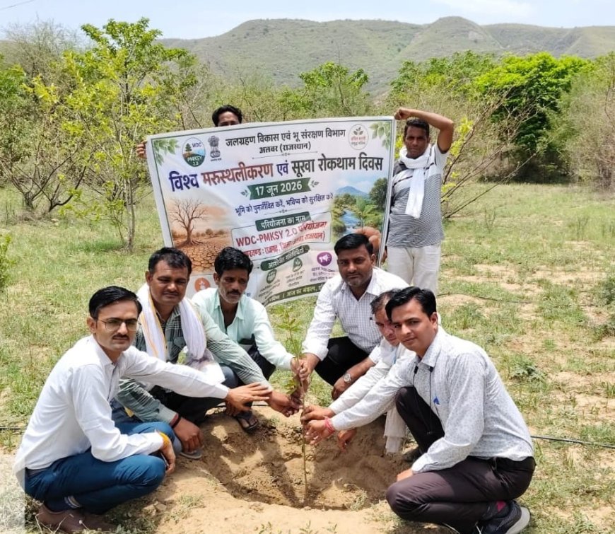 मरुस्थलीकरण व सूखा रोकथाम दिवस पर नारायणपुर में पौधारोपण, देवती में एनिकट का लोकार्पण