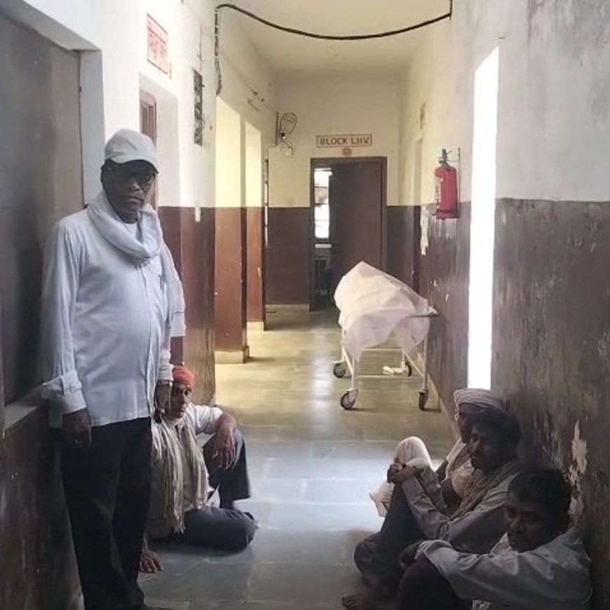 पेड़ पर चारा काटते समय 11 KV हाईटेंशन लाइन की चपेट में आया अधेड़, करंट लगने से मौके पर ही दर्दनाक मौत