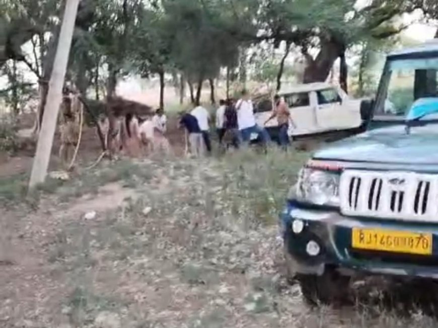 खेत पर फसल देखने गए तीन किसानों पर पैंथर का हमला, साढ़े 10 घंटे के कड़े रेस्क्यू के बाद किया ट्रैंकुलाइज