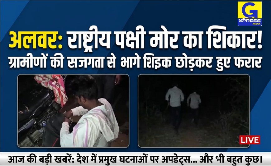 रैणी में राष्ट्रीय पक्षी मोर का शिकार; ग्रामीणों को देखकर बाइक छोड़ जंगल के रास्ते भागे शिकारी