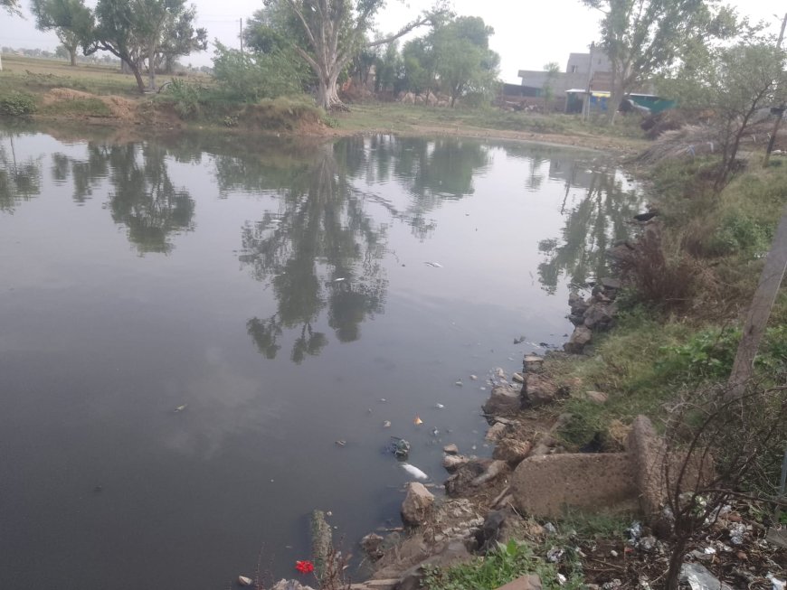 कनवाडा जोहड में पानी की कमी से मछलियों की हो रही है मौत, अन्य जल जीवो को भी हो रही परेशानी
