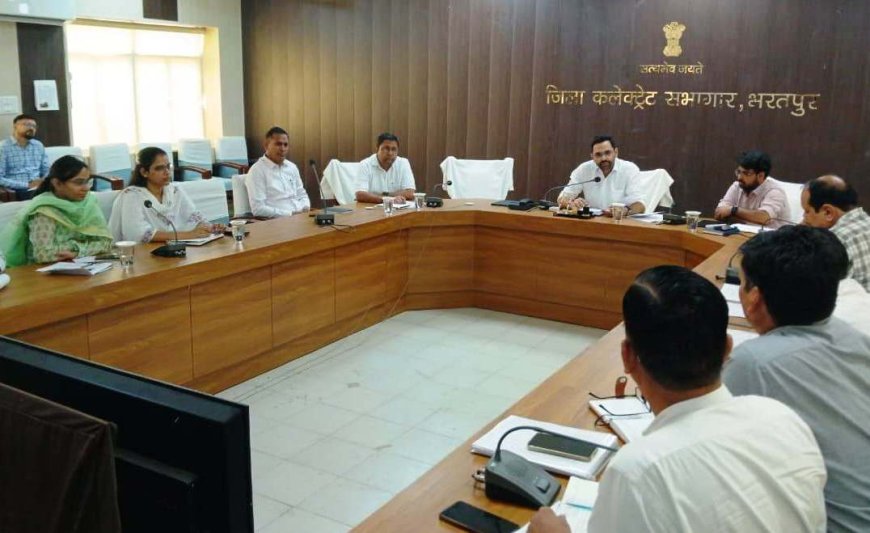बरसात से पहले जल निकासी, सड़क मरम्मत और पेयजल व्यवस्था दुरुस्त करें-जिला कलक्टर