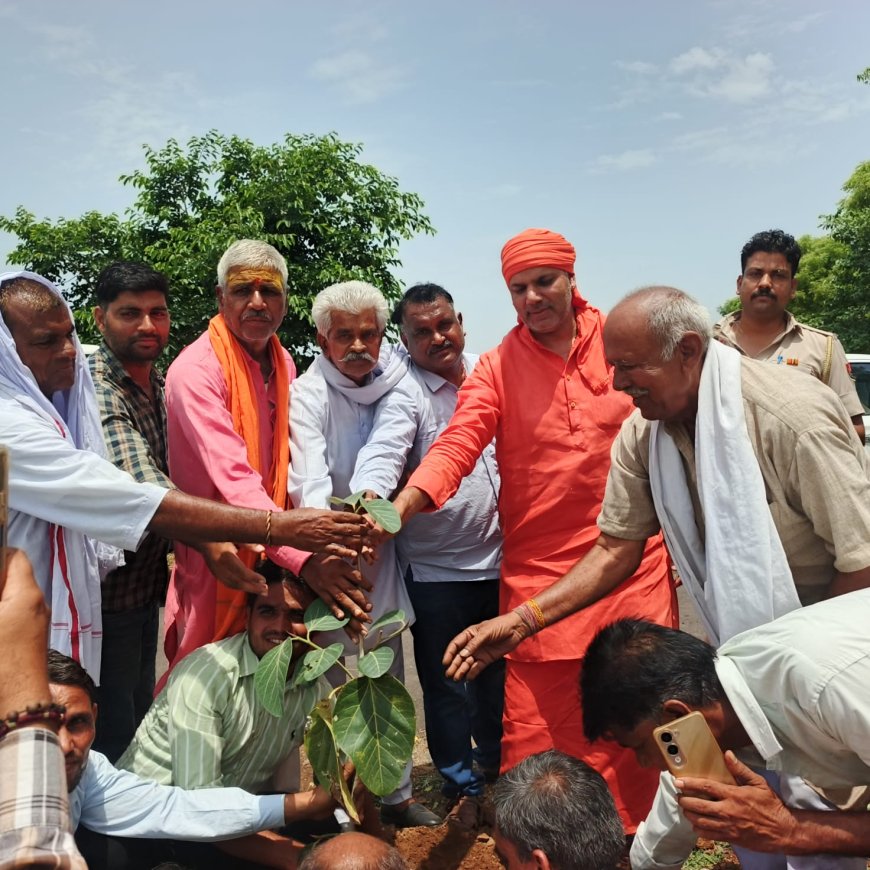 टहला में पेड़ लगाकर मनाया केंद्रीय मंत्री भूपेंद्र यादव का जन्मदिन, बांटी मिठाई