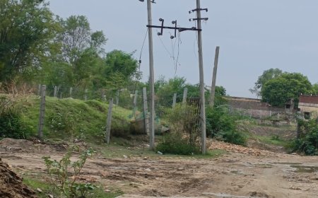 पंडेर में लाखों की बिजली लाइन गायब! पोल खड़े,  निगम अधिकारी बेखबर; जांच के बाद ही खुलेगा पूरा राज