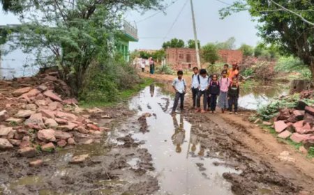 सड़क या दलदल!  स्कूल मार्ग पर जलभराव से पढ़ाई ठप, कीचड़ से गुजरने को मजबूर नौनिहाल