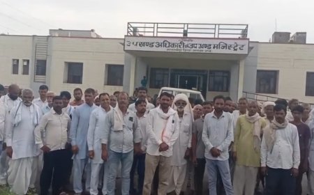 ठाकुरजी की जमीन पर 'भू-माफिया' की नजर;  खरखड़ा में मंदिर की 4.10 हेक्टेयर जमीन का अवैध बेचान, SDM को सौंपा ज्ञापन