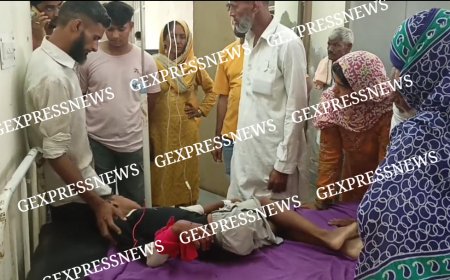 गोविंदगढ़; कमरे में खेल रहे 11 वर्षीय मासूम को सांप ने काटा, गंभीर हालत में अलवर रैफर
