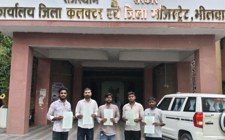 कवलियास की गोचर भूमि से अतिक्रमण हटाने की मांग, ग्रामीणों ने PLPC को सौंपा ज्ञापन