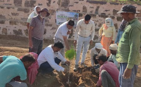 हथौड़ी की ऐतिहासिक बावड़ी पर मनाया गया विश्व ग्रामीण विकास दिवस, हुआ कदंब का पौधारोपण