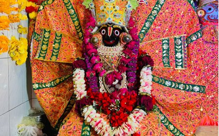 भगवान जगन्नाथ 195 वर्ष पुराने गरुड रूपी विमान पर विराजमान होंगे रथ यात्रा 16 जुलाई को