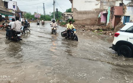 लगातार हो रही रिमझिम वर्षा से मौसम हुआ सुहाना, जल भराव से लोग हुए परेशान