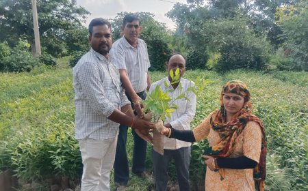 भोजगढ़ नर्सरी से इस सीजन में वितरित होंगे 2.56 लाख पौधे: रेंजर धर्मवीर मील