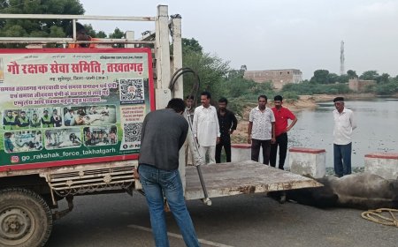 तखतगढ़ दो सांडों की लडाई में एक साड़ गिरा तालाब में, गौ रक्षक टीम ने एक को सुरक्षित निकाला