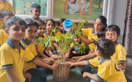 जयपुर रोड पर सीपीएस स्कूल में किया वृक्षारोपण; हरियालो राजस्थान के तहत अधिक से अधिक लगे पेड़.... महेंद्र सैनी
