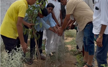 दाता मूल सिंह के स्थान पर हुआ पौधारोपण, ग्रामीणों ने लिया पर्यावरण संरक्षण का संकल्प