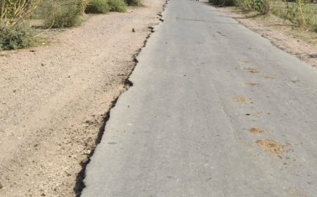 25 वर्ष पहले बनी धनारीकला–कुड़छी डामर सड़क बदहाल, विकास के दावे खोखले